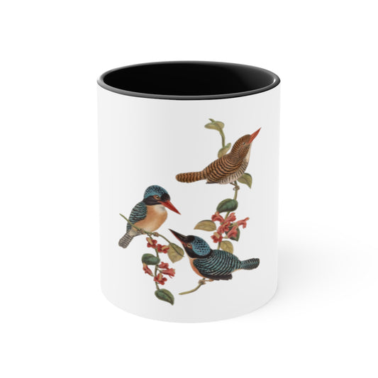 Kingfisher Bird Accent Mugs