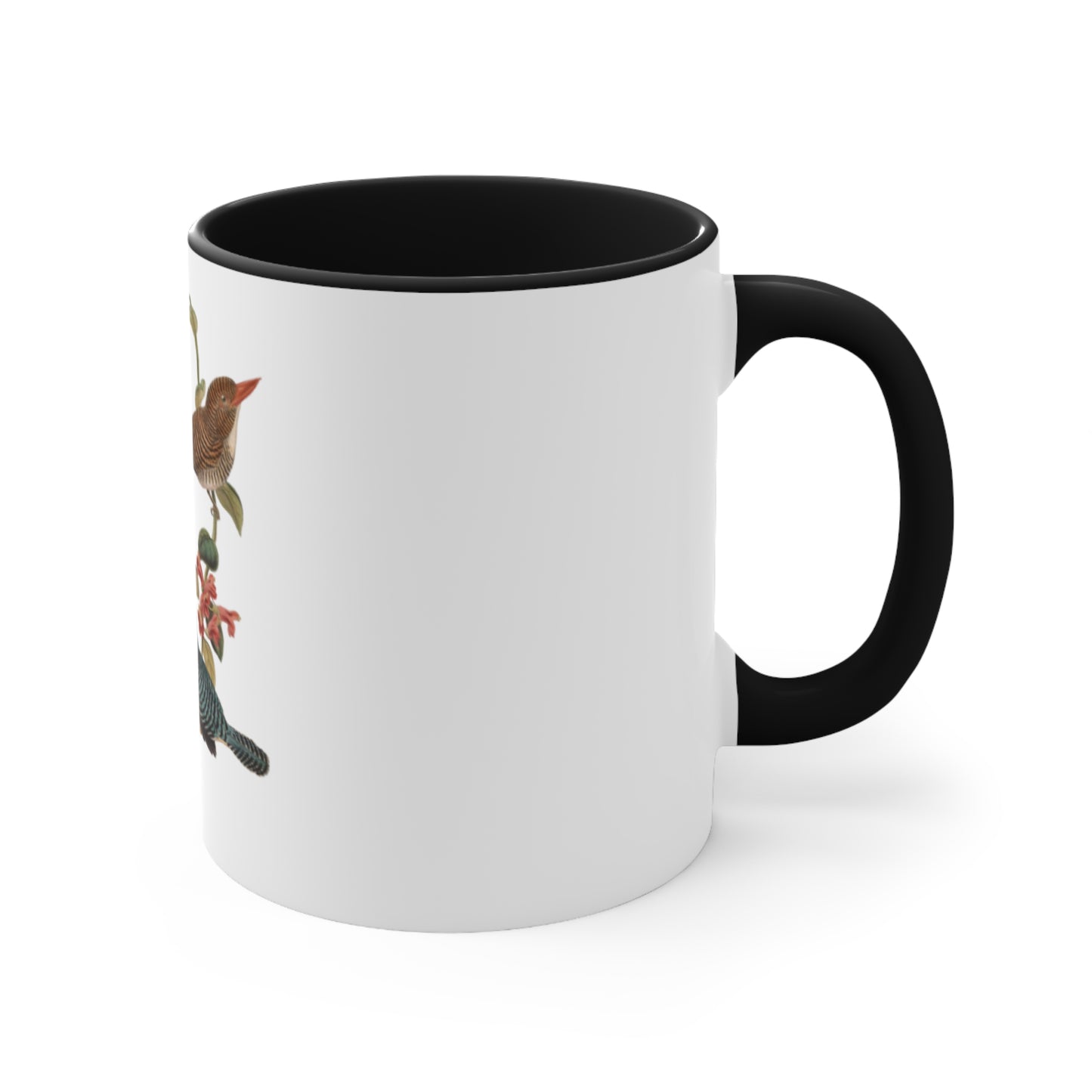 Kingfisher Bird Accent Mugs