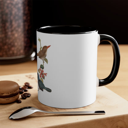 Kingfisher Bird Accent Mugs